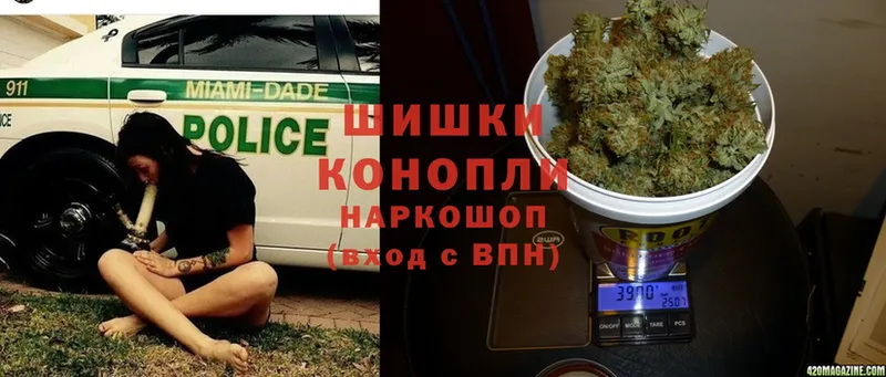 Бошки Шишки OG Kush  кракен tor  Мамадыш 